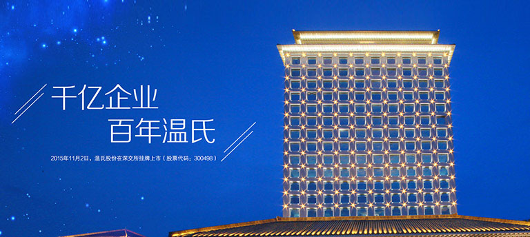 环亚集团股份